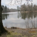 Panoramaweg 4I