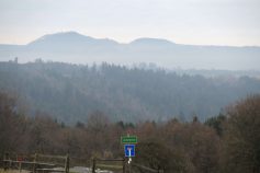hohe-linde-1a
