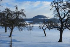 hohenlinde-2