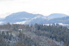 hohenlinde-3