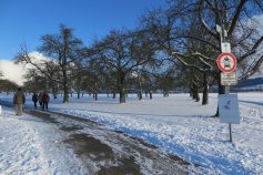 hohenlinde-4