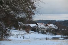hohenlinde-6