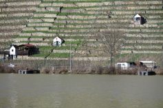 4-burg-10