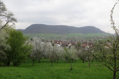 teck-23-4-2017-iv