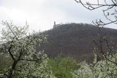 teck-23-4-2017-v