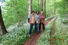 auf-den-spuren-des-pfeifers-1i