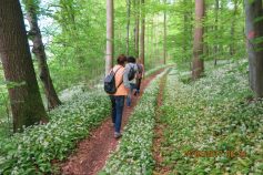 auf-den-spuren-des-pfeifers-2i