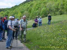 naturkundl-fruehwanderung-1