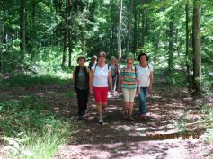 erkenbrechtsweiler-3n