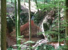 welzheimer-wald-1
