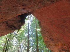welzheimer-wald-2