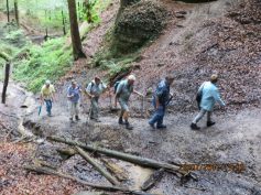 welzheimer-wald-23-7-2017-1