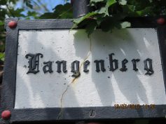 welzheimer-wald-3
