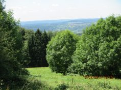welzheimer-wald-5