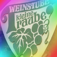 27-8-2017-esslinger-brunnenweg-4