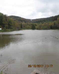 29-10-2017-mordklinge-2n