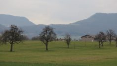 14-1-18-zwischen-jebenhausen-und-heiningen-2